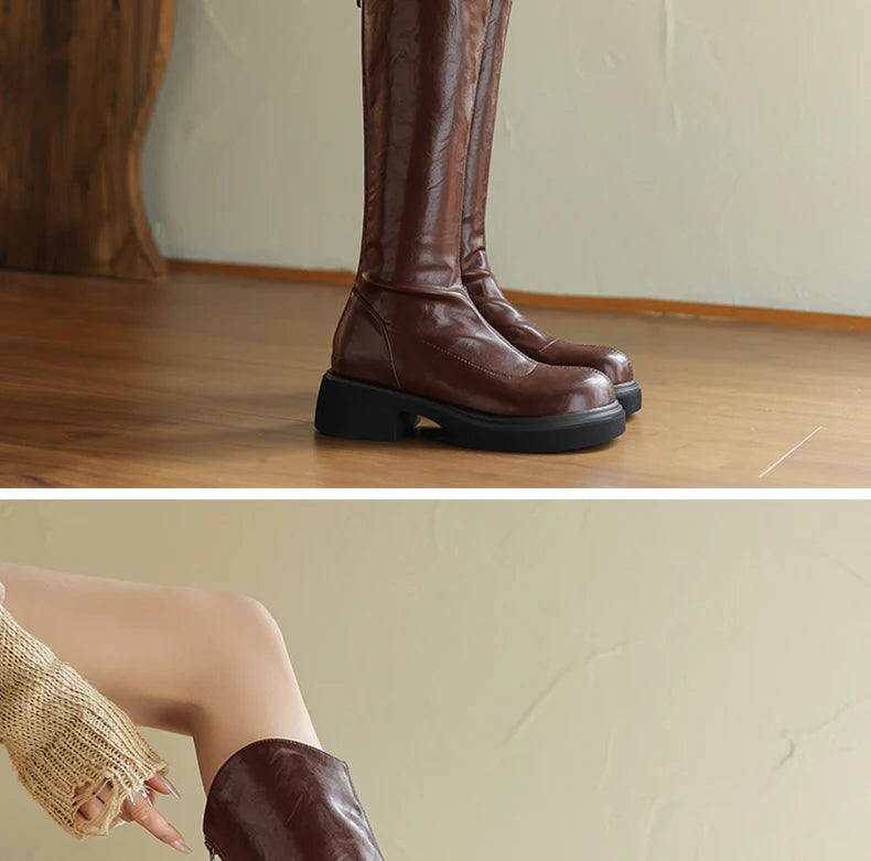 Ods Footwear Elegant Heeled Shoes for Women Brown Ladies Boots Platform Winter Knee High Shaft Heels Long Boot Lady 40 41 42 43