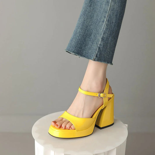 2023 Summer New Shoes Woman Brand Women's Platform Shoes Fashion Comfortable Thick Sole Sandals Square High Heels